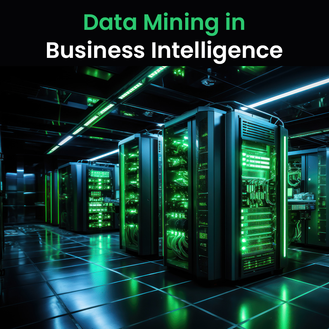 data mining for business intelligence software solutions